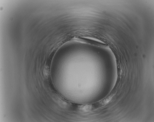 X0000076450135200610161321