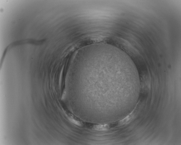 X0000076450136200610161321