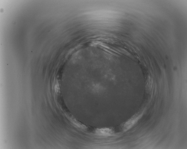 X0000076450137200610161321