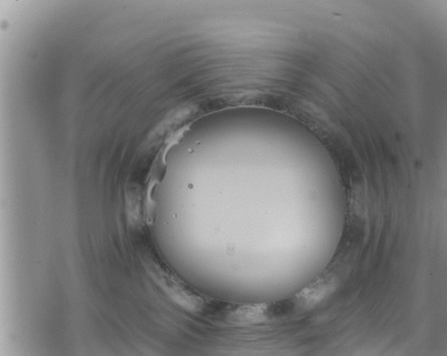 X0000076450138200610161321