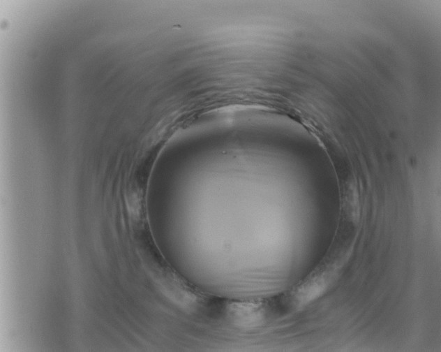 X0000076450139200610161321