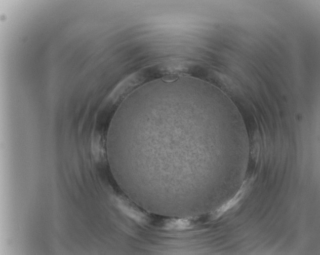 X0000076450140200610161321