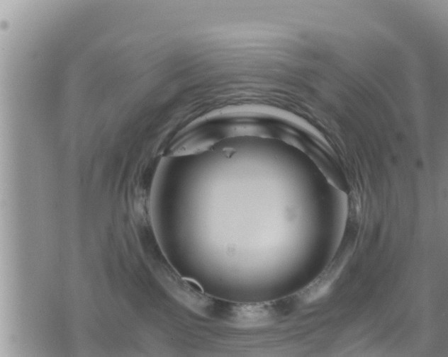 X0000076450141200610161321