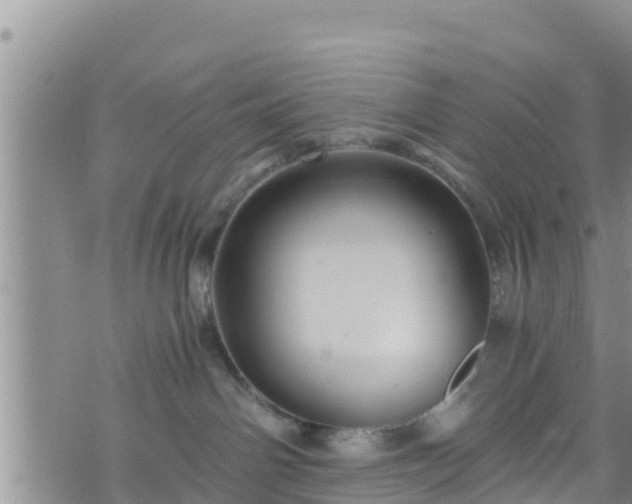 X0000076450142200610161321