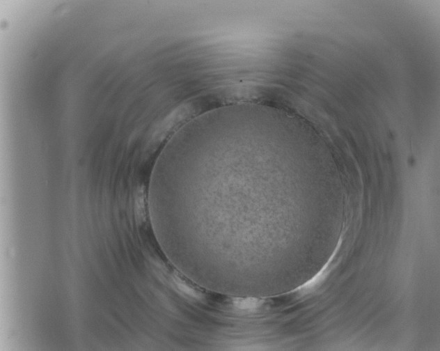 X0000076450144200610161321