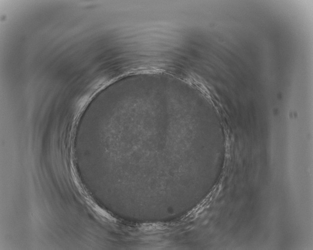 X0000076450145200610161320