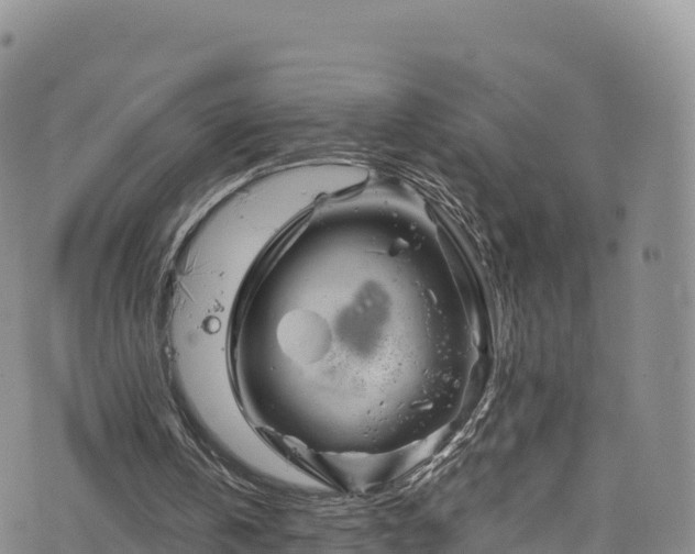 X0000076450146200610161320