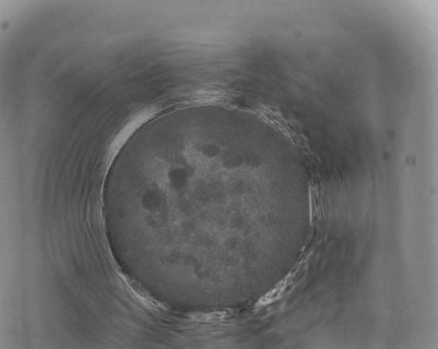 X0000076450147200610161320