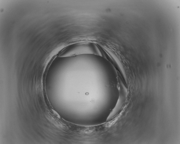 X0000076450148200610161320