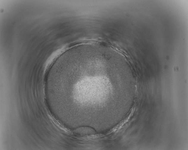 X0000076450149200610161320