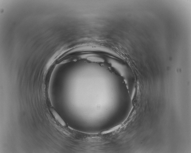 X0000076450150200610161320