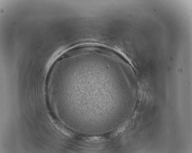 X0000076450151200610161320