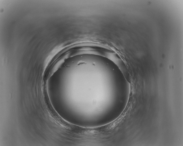 X0000076450152200610161320