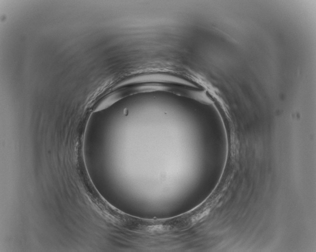 X0000076450153200610161320