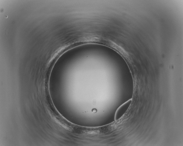 X0000076450155200610161320