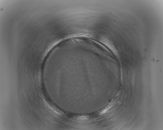 X0000076450156200610161320