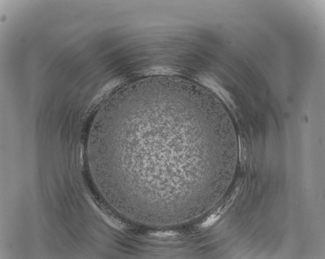 X0000076450157200610161320