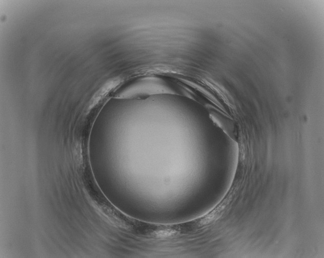 X0000076450158200610161320