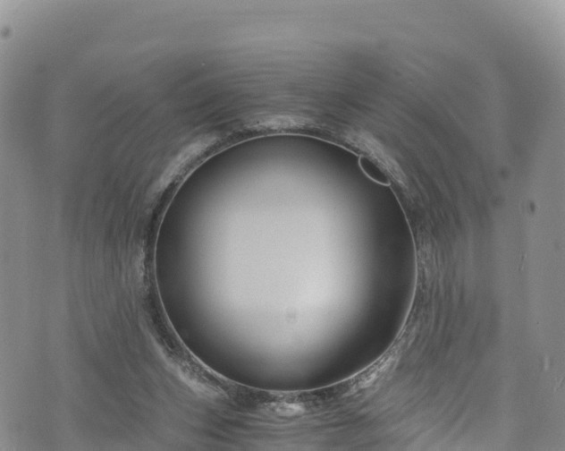 X0000076450159200610161320