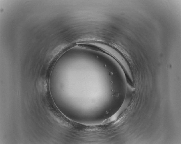 X0000076450160200610161320