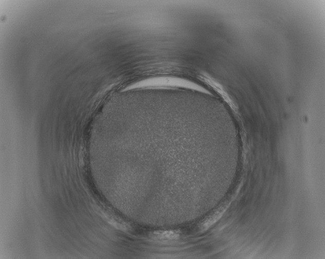 X0000076450161200610161320