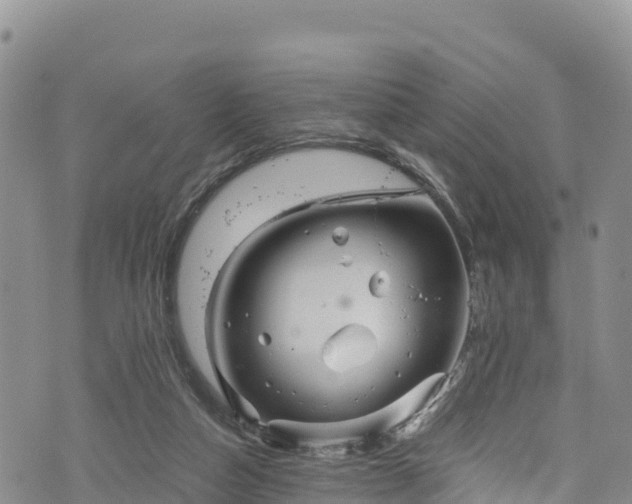 X0000076450162200610161320