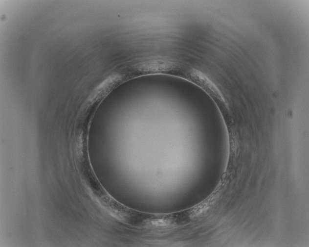 X0000076450163200610161320