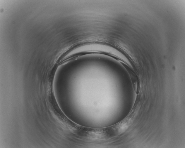 X0000076450164200610161320