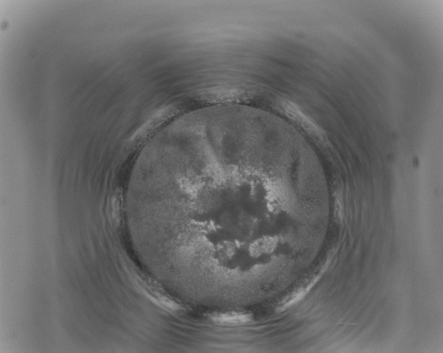 X0000076450165200610161320