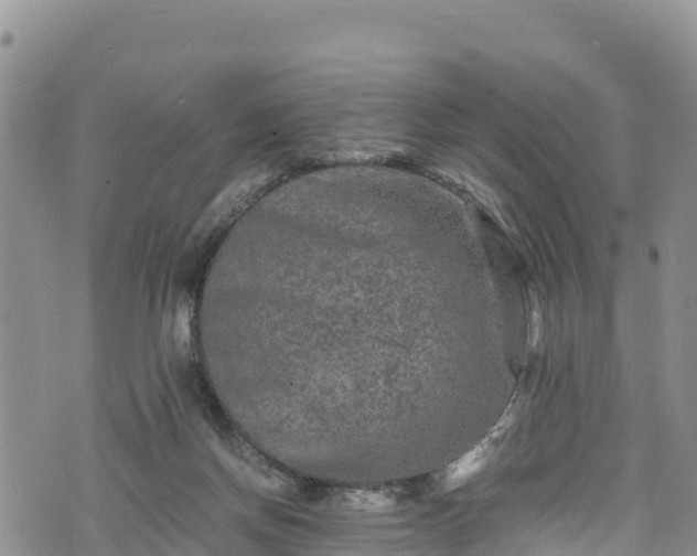 X0000076450166200610161320