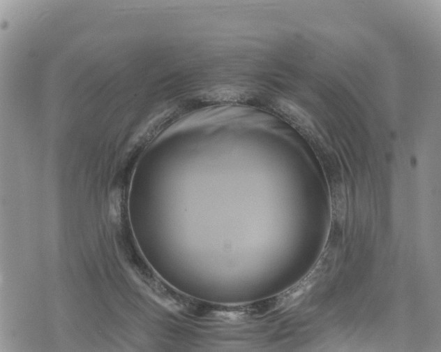 X0000076450167200610161320