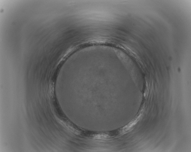 X0000076450168200610161320