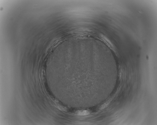 X0000076450169200610161320