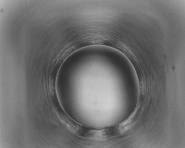 X0000076450170200610161320