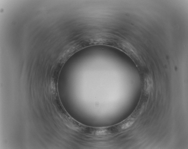 X0000076450173200610161320