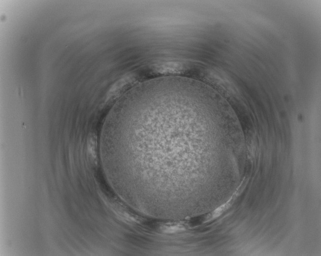 X0000076450175200610161320