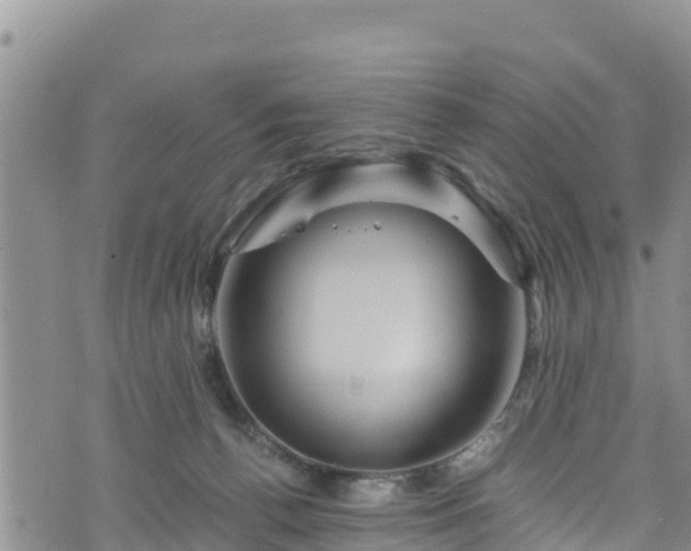 X0000076450176200610161320