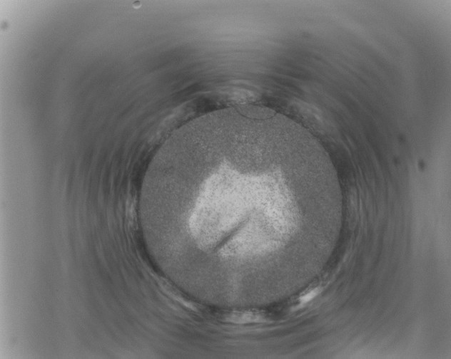 X0000076450177200610161321