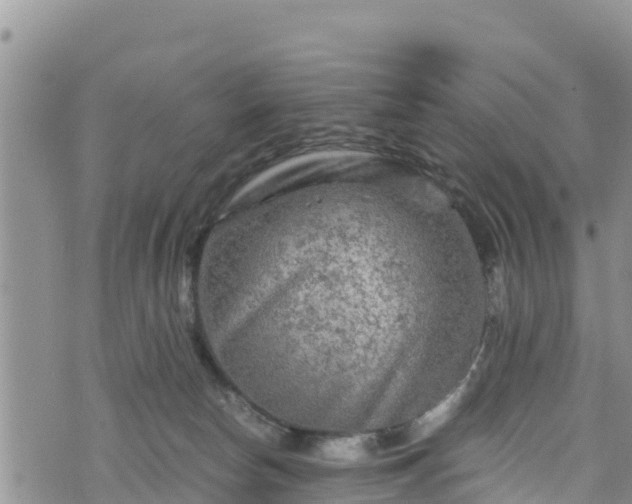 X0000076450178200610161321