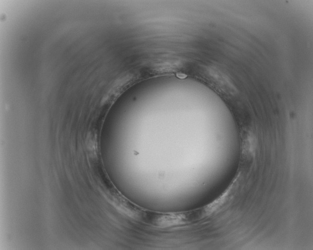 X0000076450179200610161321