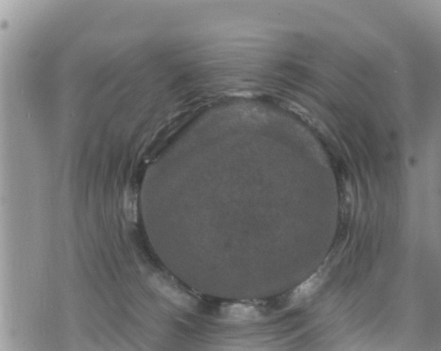 X0000076450180200610161321