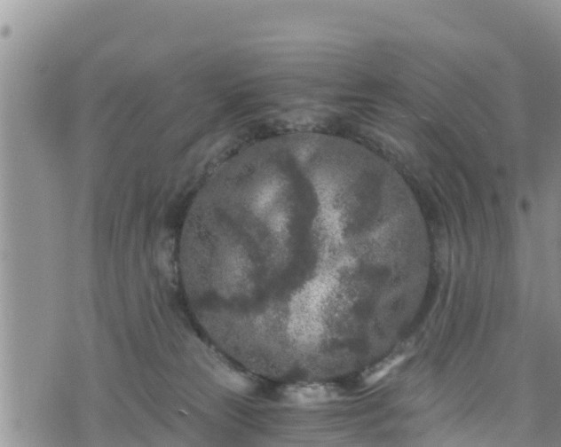 X0000076450181200610161321