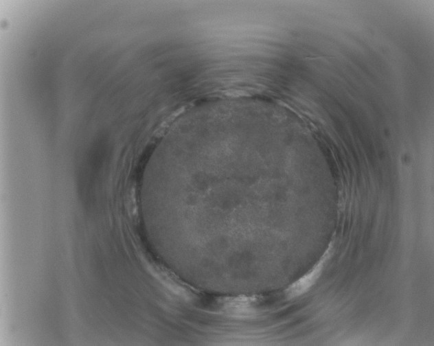 X0000076450182200610161321