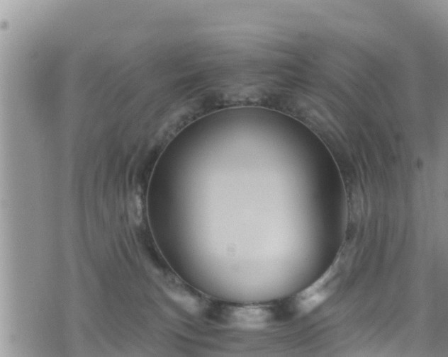 X0000076450183200610161321