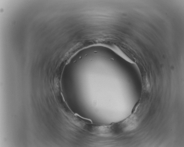 X0000076450184200610161321