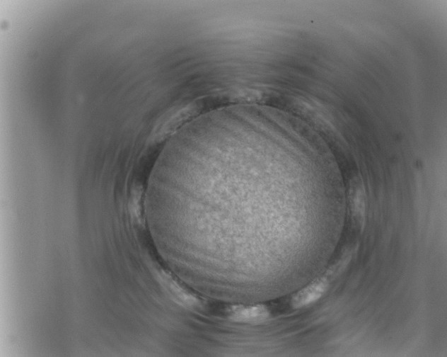 X0000076450185200610161321