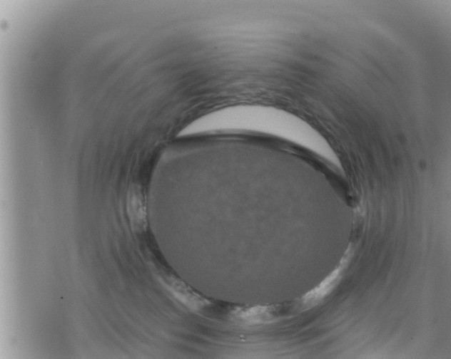 X0000076450186200610161321