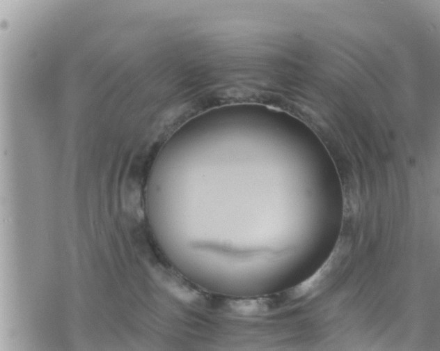 X0000076450187200610161321