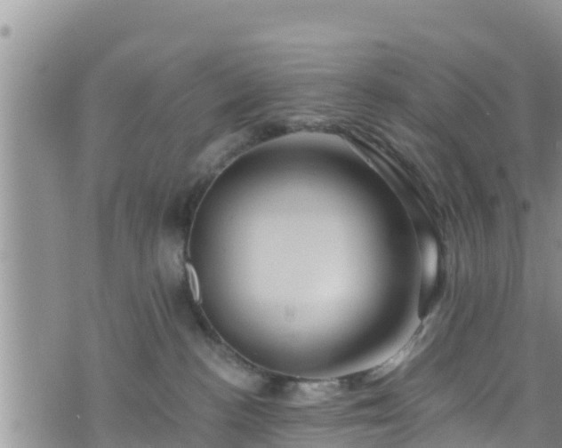 X0000076450188200610161321