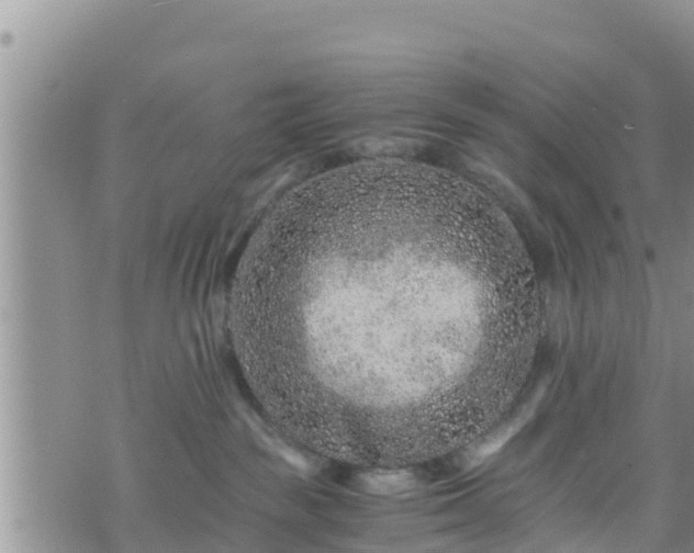 X0000076450189200610161321